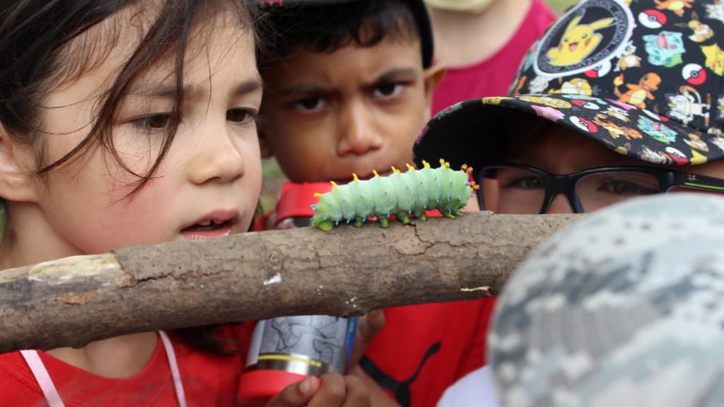 Support Humber Arboretum's Nature for All Fund