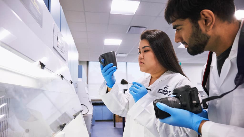 Faculty of Social and Community Services